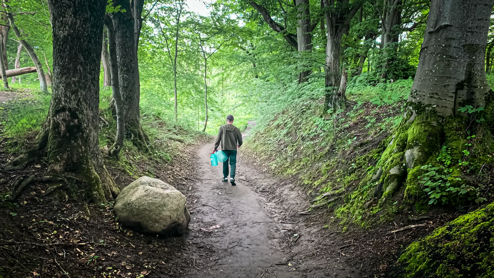 A man walking along a path that leads deeper into a forest, soft daylight through the trees