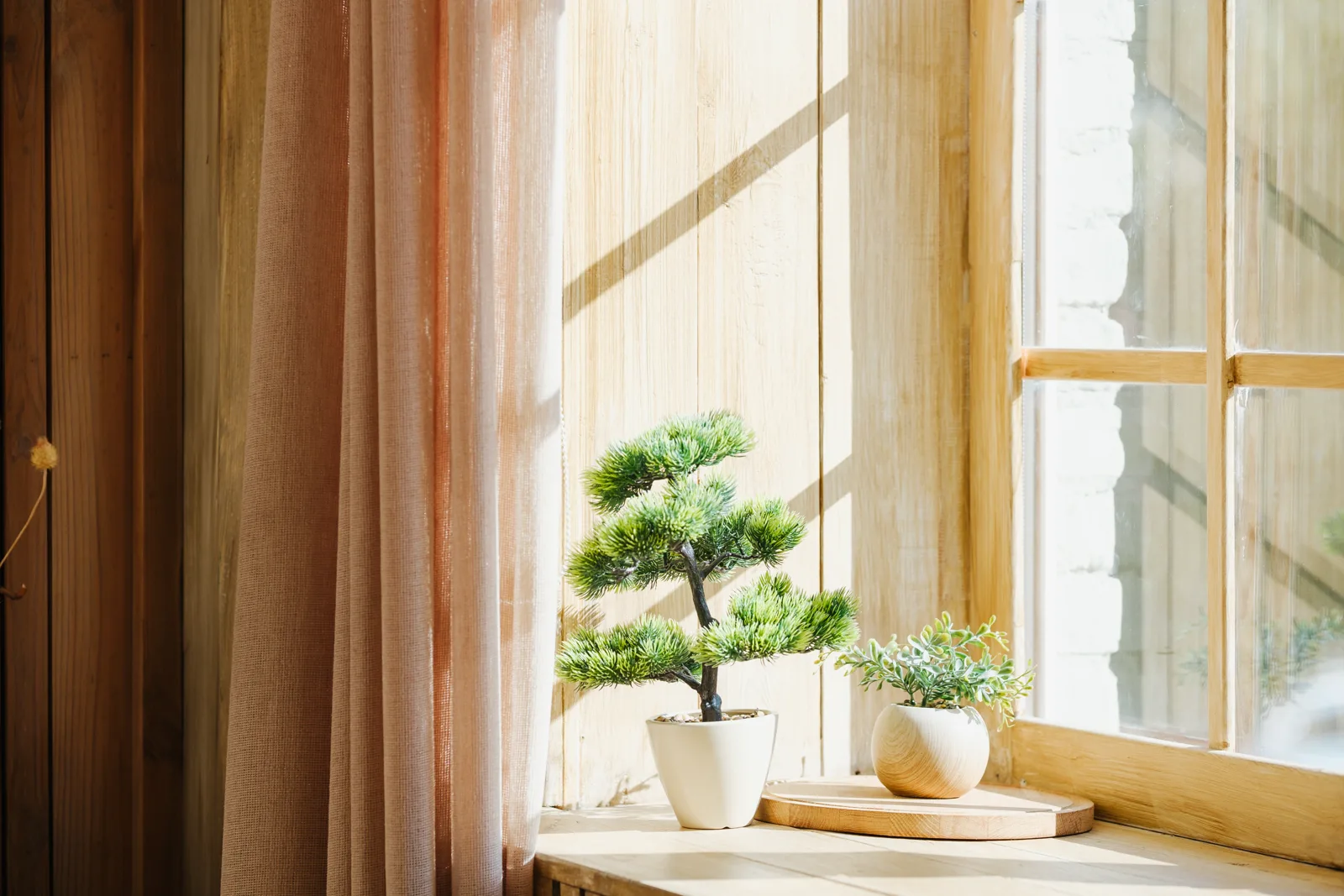 Green potted plants on a wooden sill near sheer curtains, soft natural light filtering through