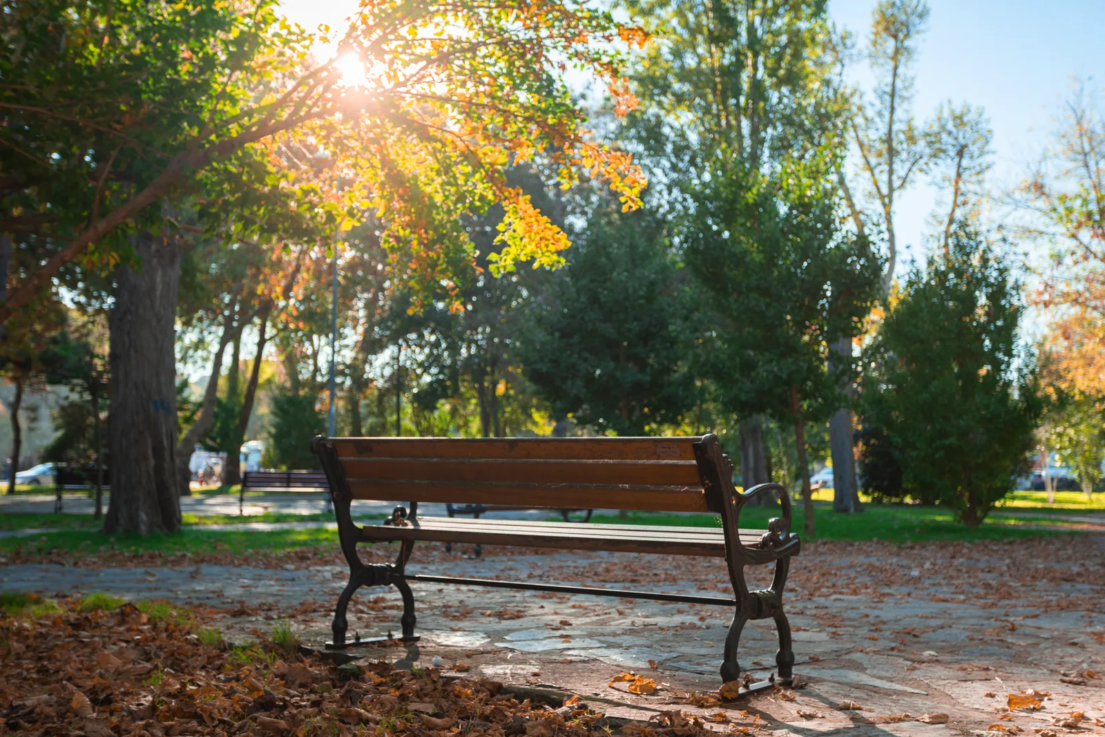A simple bench in an autumn park surrounded by golden leaves and soft light